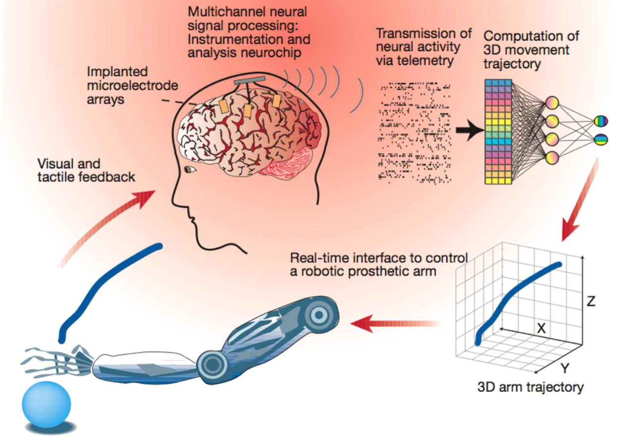 Nathaniel Allen Evans' research on mental imagery decoding and brain-machine interfaces.